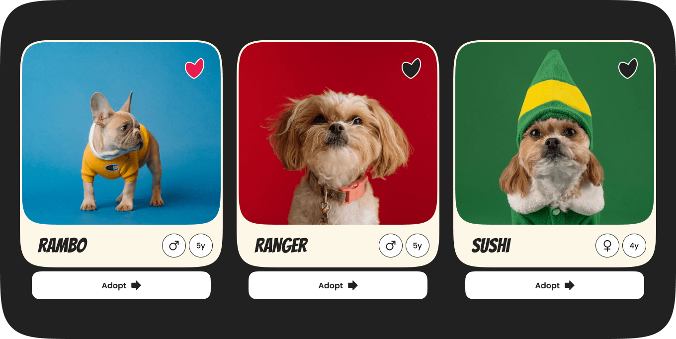 PawPerfect: Revolutionizing Pet Adoption 9 Container