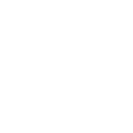 shape icon