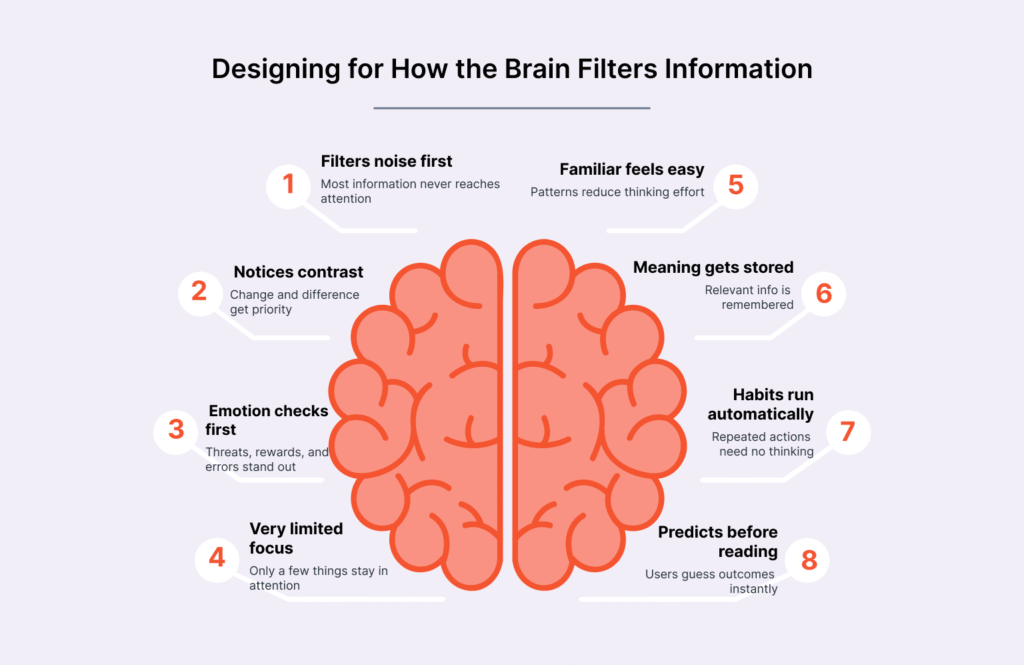 Designing for How the Brain Filters Information